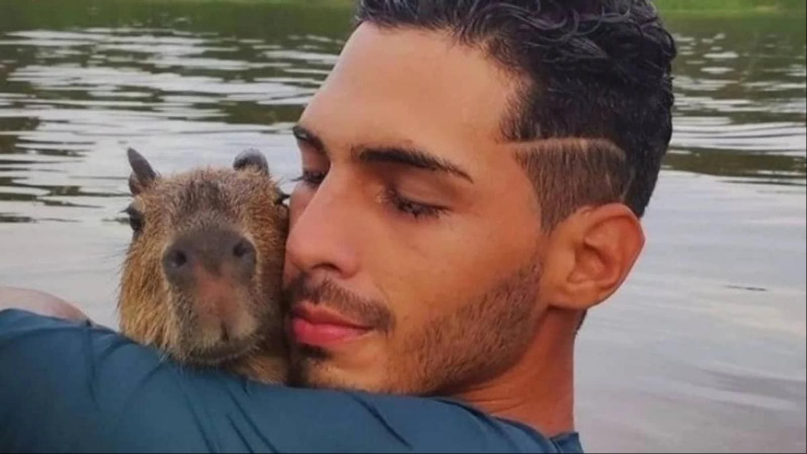 capivara-filojpeg